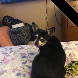 Meet your Posher, Deborah